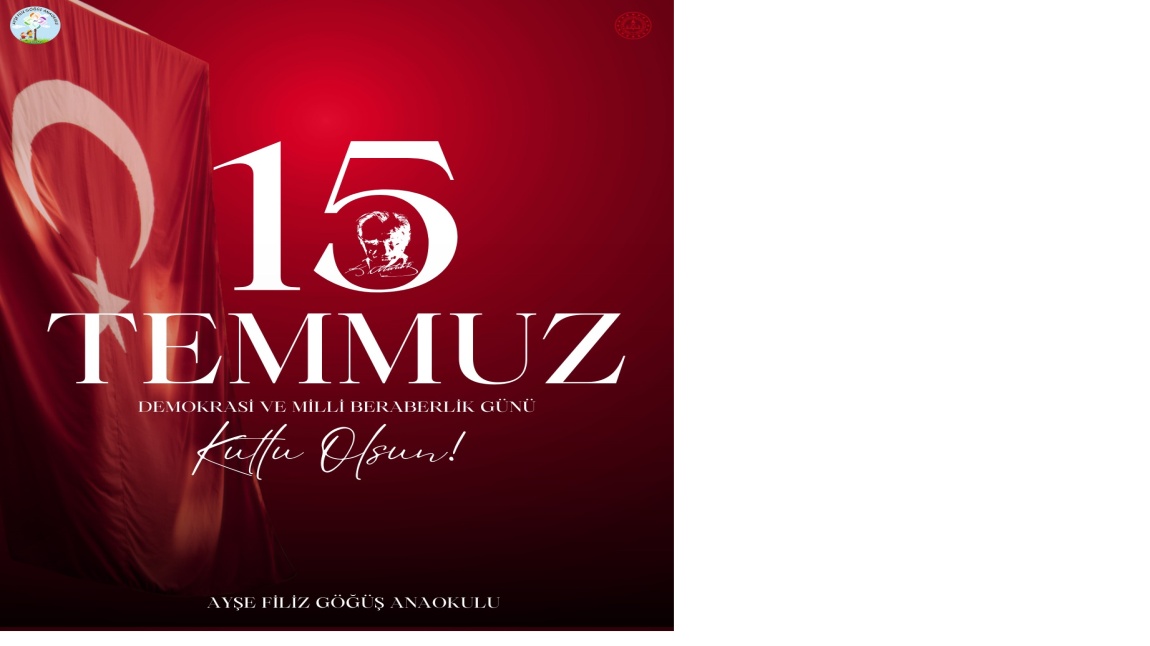 15 TEMMUZ DEMOKRASİ VE MİLLİ BİRLİK GÜNÜ